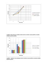 Paraugs 'Elektromiogrāfija', 4.