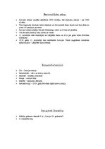 Konspekts 'Bermontiāde', 4.