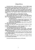 Biznesa plāns 'Biznesa plāns viesu mājai "Laine"', 3.