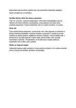 Paraugs 'Tulka darba apraksts', 2.