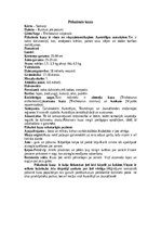 Konspekts 'Kuskusi', 13.