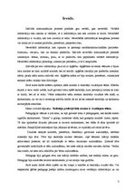 Referāts 'Skolotāja vizuālā tēla nozīmīgums', 3.