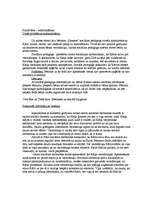 Referāts 'Sociālās problēmas analīze', 2.