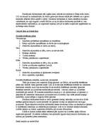 Referāts 'Sociālās problēmas analīze', 4.