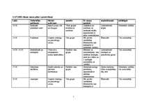 Referāts 'Nometnes plāns', 1.