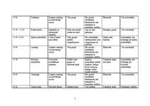 Referāts 'Nometnes plāns', 3.