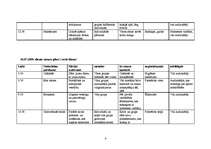 Referāts 'Nometnes plāns', 4.