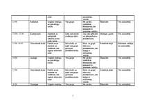 Referāts 'Nometnes plāns', 5.