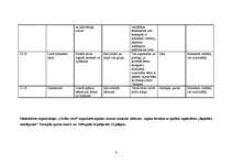 Referāts 'Nometnes plāns', 6.