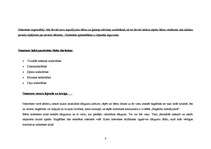 Referāts 'Nometnes plāns', 8.