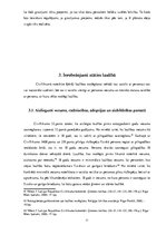 Referāts 'Laulības institūta tiesiskais regulējums', 21.