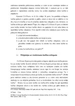 Referāts 'Laulības institūta tiesiskais regulējums', 24.