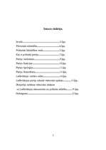 Referāts 'Politiskās partijas', 2.