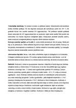 Konspekts 'Degvielas', 11.