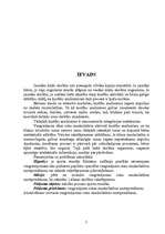 Referāts 'Sīkās roku muskulatūras nostiprināšanas vingrinājumi', 3.