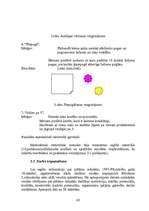 Referāts 'Sīkās roku muskulatūras nostiprināšanas vingrinājumi', 45.
