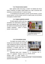 Referāts 'Ogļhidrātu ietekme uz alus fermentācijas gala produktu sastāvu', 12.