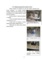 Referāts 'Ogļhidrātu ietekme uz alus fermentācijas gala produktu sastāvu', 13.
