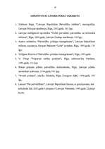 Referāts 'Pašvaldību ekonomiskā bāze', 19.