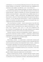 Referāts 'Славянские топонимы Восточной Латгалии и Псковской области', 19.