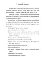 Referāts 'Mārketinga darbības analīze un tālākās attīstības iespējas', 2.