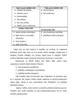 Referāts 'Mārketinga darbības analīze un tālākās attīstības iespējas', 12.