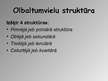 Prezentācija 'Olbaltumvielu uzbūve', 6.