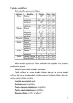 Prakses atskaite 'Cerebrāls infarkts galvas smadzenēs kreisajā puslodē', 5.