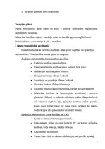 Prakses atskaite 'Cerebrāls infarkts galvas smadzenēs kreisajā puslodē', 7.