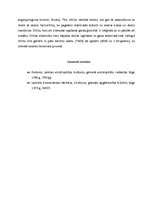 Konspekts 'Silīcijs', 3.