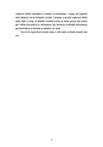 Referāts 'Organizācijas kultūra', 11.