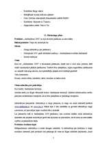 Prakses atskaite 'Projekts "Andrejdiena 2008"', 5.