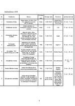 Prakses atskaite 'Projekts "Andrejdiena 2008"', 9.