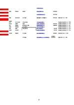 Prakses atskaite 'Projekts "Andrejdiena 2008"', 19.