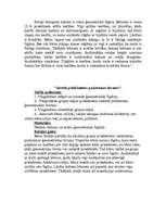 Referāts 'Didaktiskās rotaļas matemātisko priekšstatu veidošanai 3-5 gadus veciem bērniem', 13.