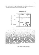 Referāts 'A/s "Dzintars" mārketinga vides un stratēģijas analīze un darbības plānošana', 19.
