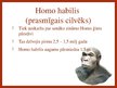 Prezentācija 'Cilvēka evolūcija', 5.