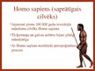 Prezentācija 'Cilvēka evolūcija', 8.