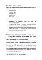 Konspekts 'Ekonomiskās sistēmas', 4.