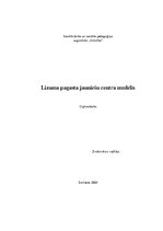 Diplomdarbs 'Lizuma pagasta jauniešu centra modelis', 1.