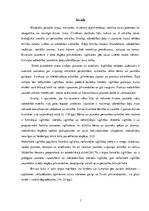 Diplomdarbs 'Lizuma pagasta jauniešu centra modelis', 3.