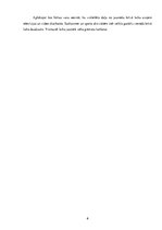 Diplomdarbs 'Lizuma pagasta jauniešu centra modelis', 6.