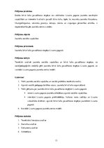 Diplomdarbs 'Lizuma pagasta jauniešu centra modelis', 13.