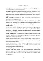 Diplomdarbs 'Lizuma pagasta jauniešu centra modelis', 17.