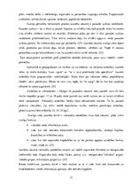 Diplomdarbs 'Lizuma pagasta jauniešu centra modelis', 21.