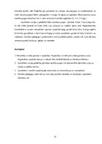 Diplomdarbs 'Lizuma pagasta jauniešu centra modelis', 25.