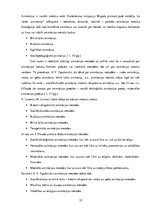 Diplomdarbs 'Lizuma pagasta jauniešu centra modelis', 35.