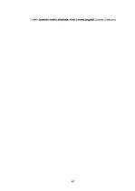 Diplomdarbs 'Lizuma pagasta jauniešu centra modelis', 67.