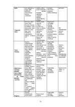Diplomdarbs 'Lizuma pagasta jauniešu centra modelis', 75.