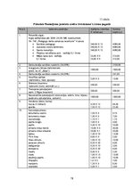 Diplomdarbs 'Lizuma pagasta jauniešu centra modelis', 78.